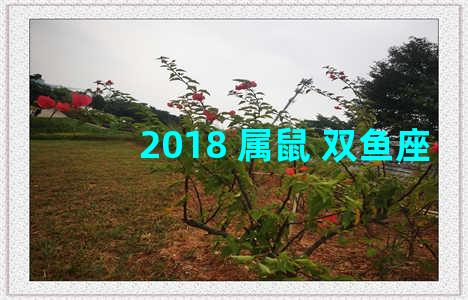 2018 属鼠 双鱼座